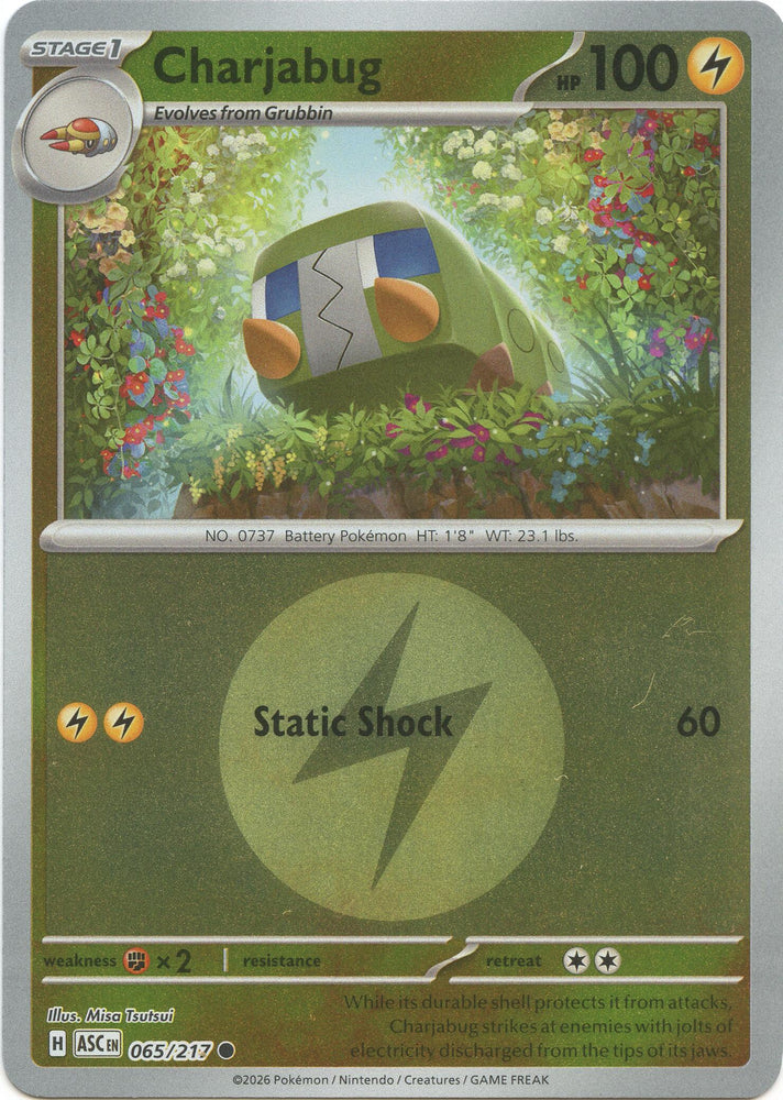 Charjabug (065/217) (Energy Symbol Pattern) [Mega Evolution: Ascended Heroes]