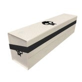 Ultra Pro 500+ Flat Pack Storage Box Magic the Gathering Mana 8 Swamp